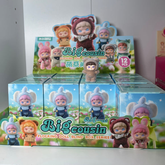 Mini Blind Box big cousin